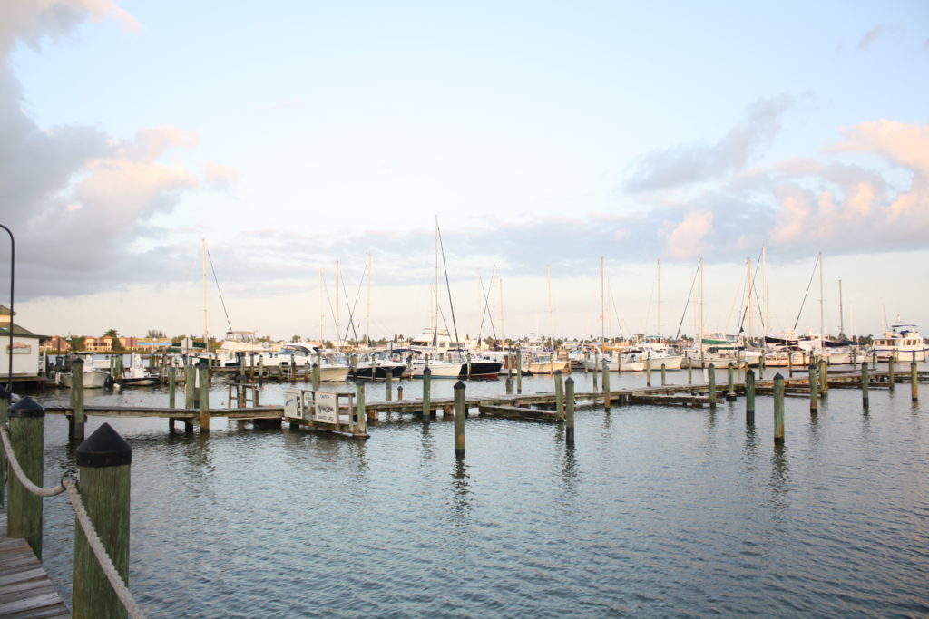 Naples_Florida_docks